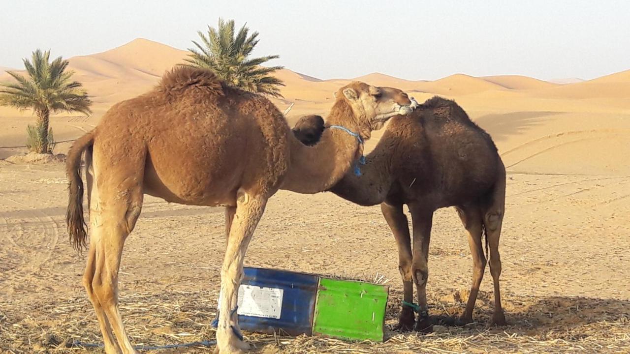Hotel Fabulous Luxury Camp Merzouga Zewnętrze zdjęcie